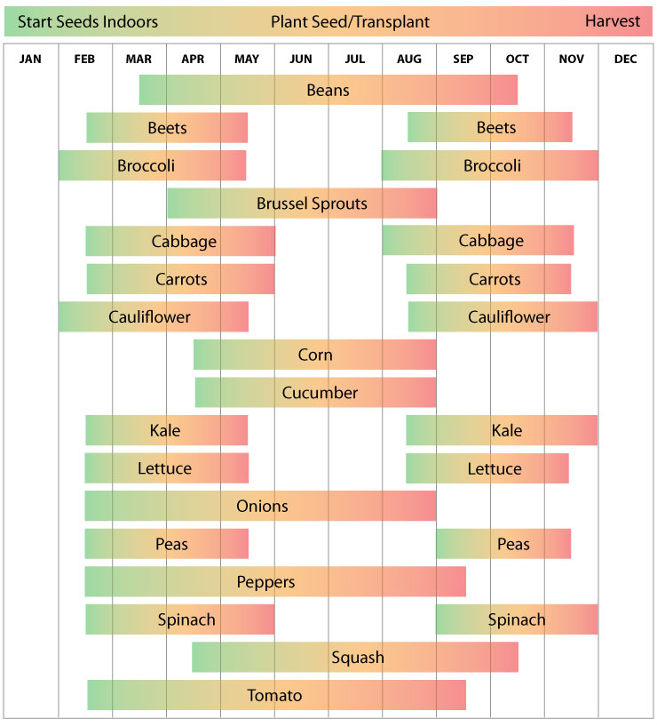 Planting-Zone-8.jpg