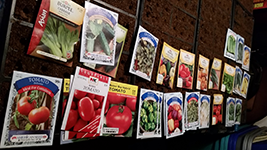 planning seeds