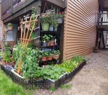 2015-05-18-17.19.05.jpg