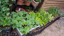 2015-05-18-17.19.19.jpg 