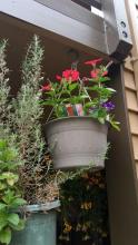 2015-05-18-17.19.24.jpg