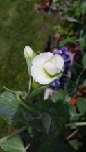 2015-05-20-12.06.21.jpg 