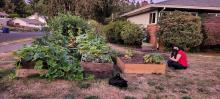 Our son & dog with the garden