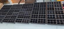 Seedling trays set up